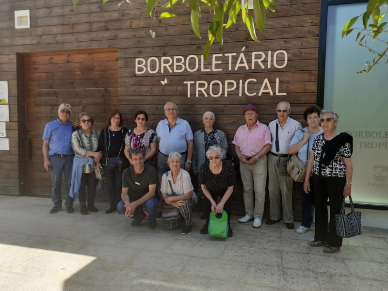 Idosos Borboletario