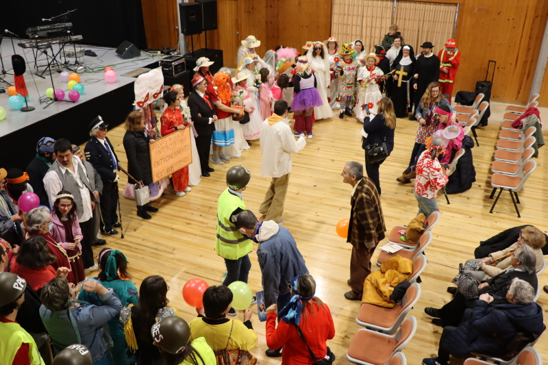 Carnaval instituições HP