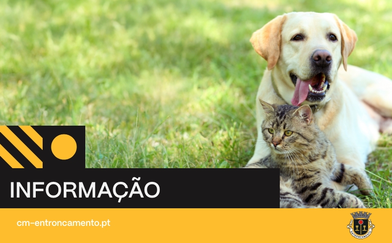 Município reforça estratégia de controlo da população de animais errantes