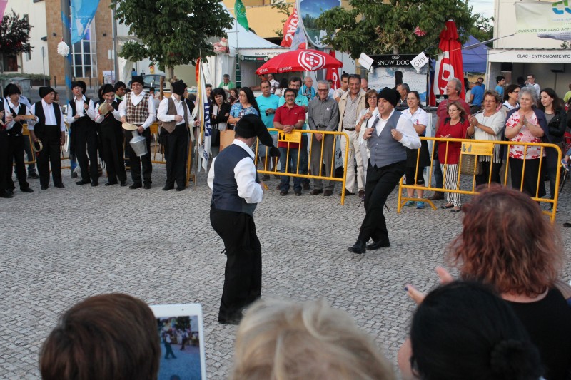 Festass01