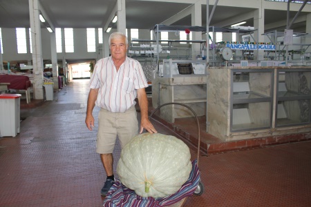 Abóbora com mais de 60 Kg nasce no Entroncamento