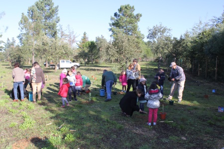 Sobreiros plantados no Parque Verde do Bonito pelos alunos das escolas