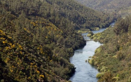 Consulta Pública ZIF Castelo de Bode
