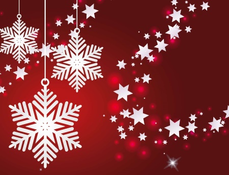 Exposição de Estrelas de Natal na Galeria Municipal