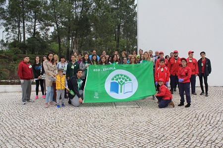 Rota da Floresta capa