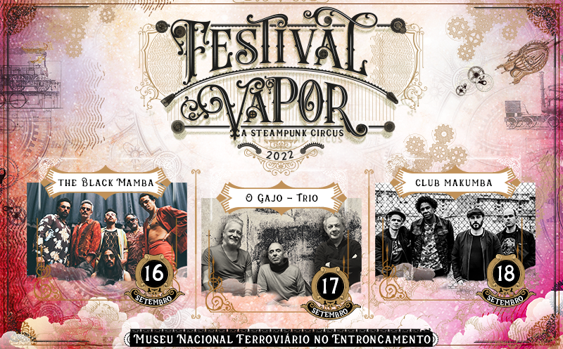 Festival Vapor Banner Site