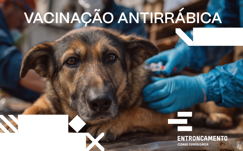 banner vacinacao antirrabica 800x497