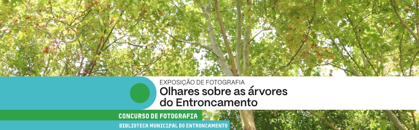 Biblioteca Municipal do Entroncamento acolhe exposição "Olhares sobre as Árvores do Entroncamento"